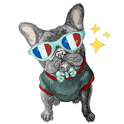 Bonjour! Bonjour! Black French Bulldog