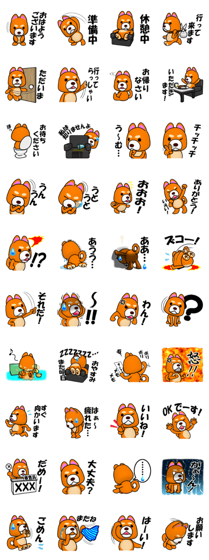 Slightly cool Japanese Dog Shiba BUNTA
