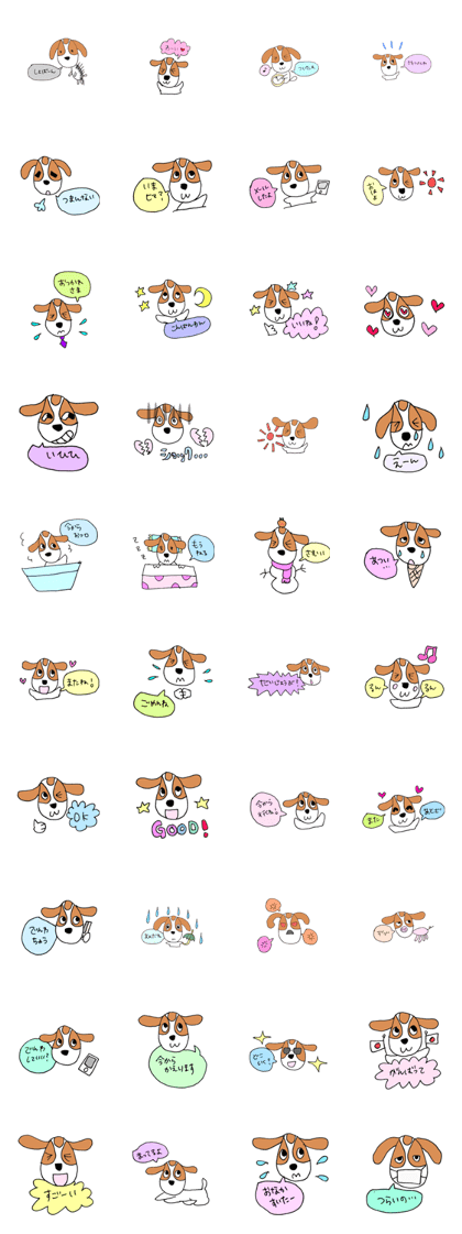 The dog messages