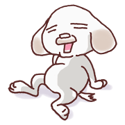 Feeling of middle-aged dog
