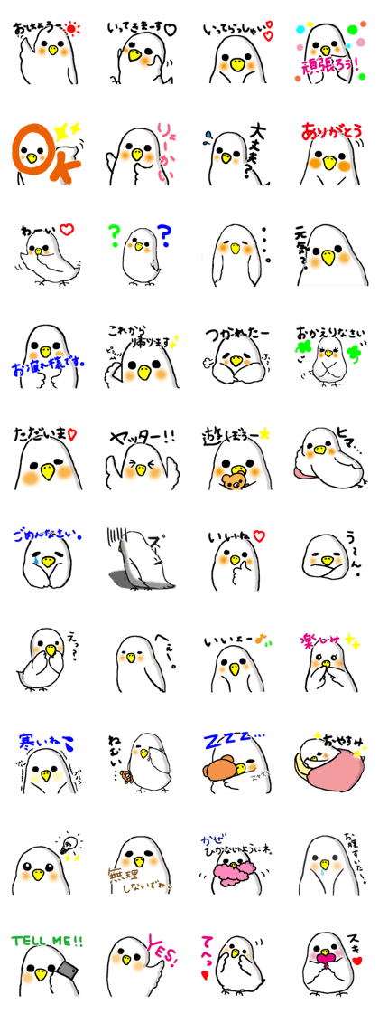 shiroikotori
