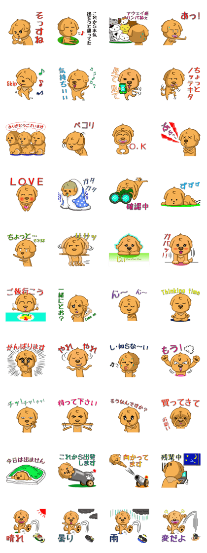 I like Golden Retriever1