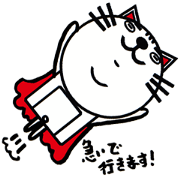 white white cat stickers