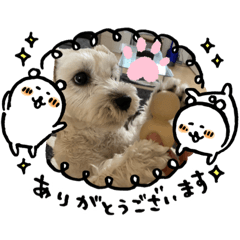 tomomi_20200606074844