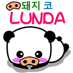 Pig nose Lunda [South Korea]