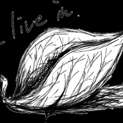 I  live in.