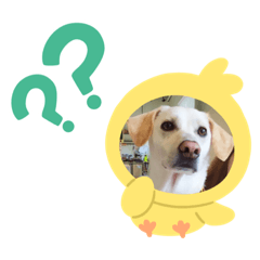 Brother and sister__123456