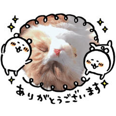 mochi_20200606073337