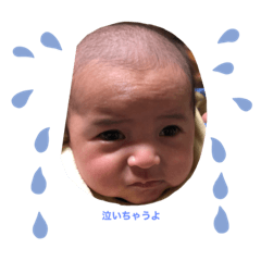 saya_12452627/&/#_iaksub#