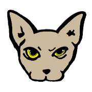 Ray Cat