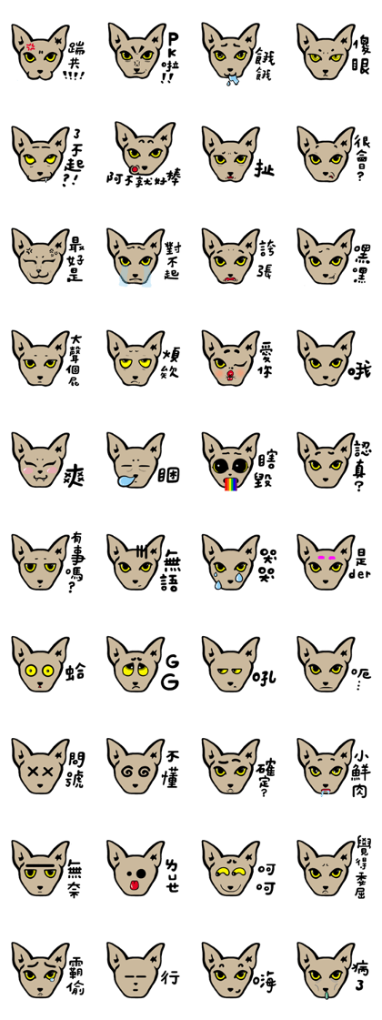 Ray Cat