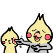 The cockatiel named Konastu