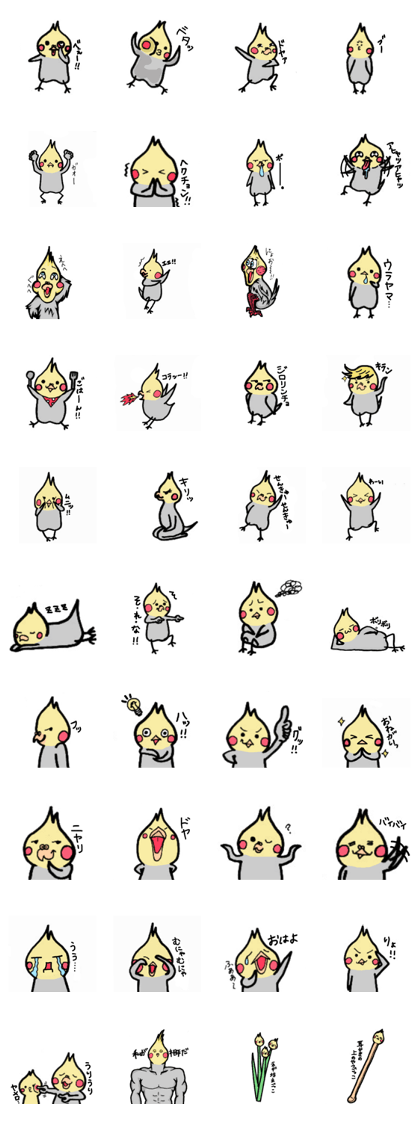 The cockatiel named Konastu