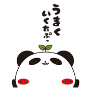 Tapu Tapu the Panda