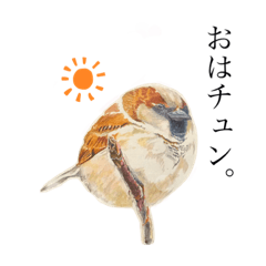 SUZUME sparrow1.2
