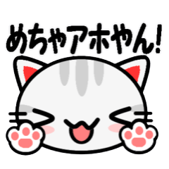 Japanese Wild cat