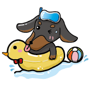 wiener dog