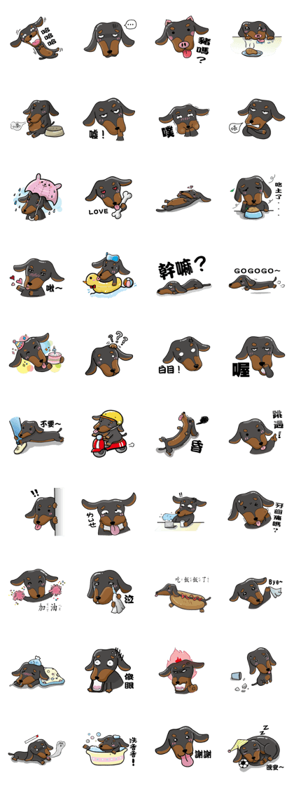 wiener dog