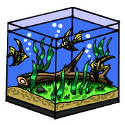 Aquarium[Amazon]