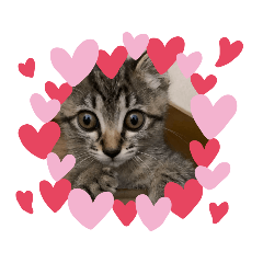 arisa_20200606120459