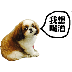 Dooby Wants
