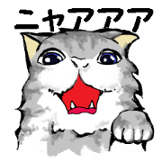 Real cat1