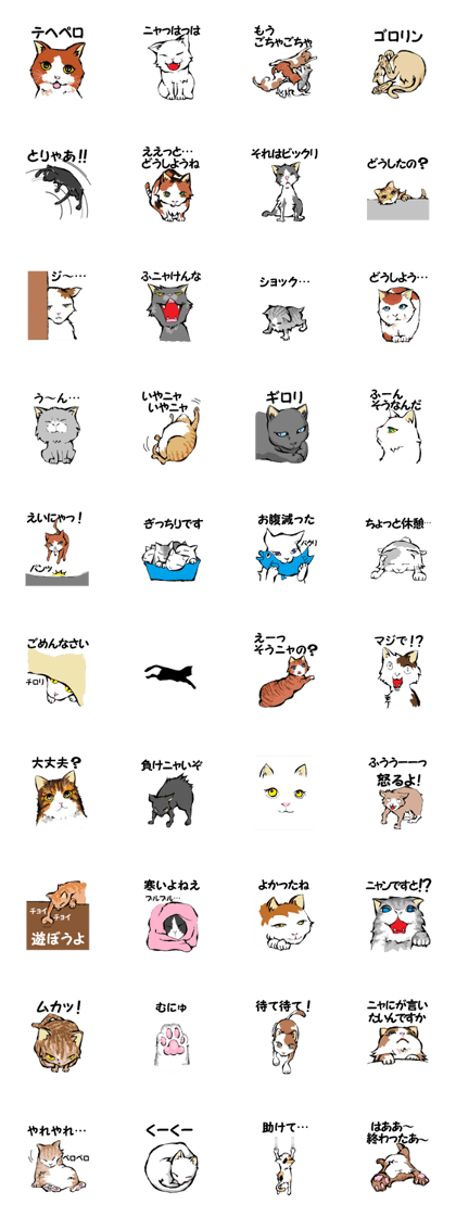 Real cat1