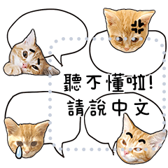 line message DoubleCats MAGGIE 003
