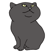 Happy life with a cat (Part4)