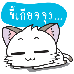 Hoshi & Luna Diary : ภาษาไทย 5