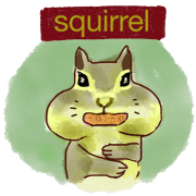 Squirrel Cutie
