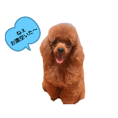 haruna_20200606134441