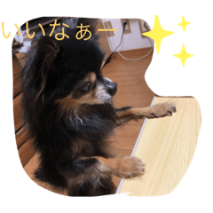 yun_20200606141603