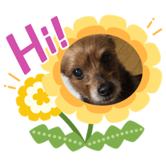 kazumi_20200606150916