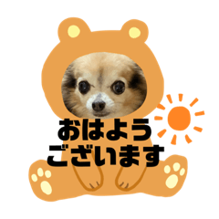 kazumi_20200606123304