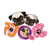 Arqupi  cute pugs
