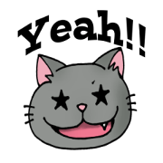 PATRA of the cat