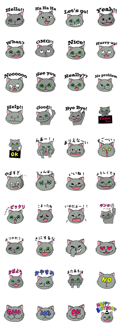 PATRA of the cat