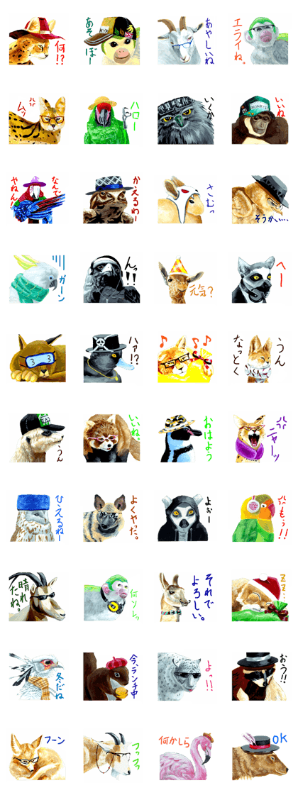 the animal collection