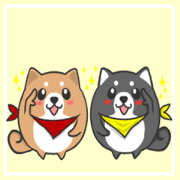 Circle Shiba dog