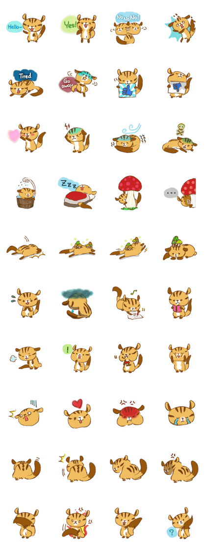 Cute Squirrel-Chipmunk~Jojo