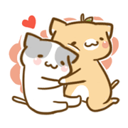 Cat come