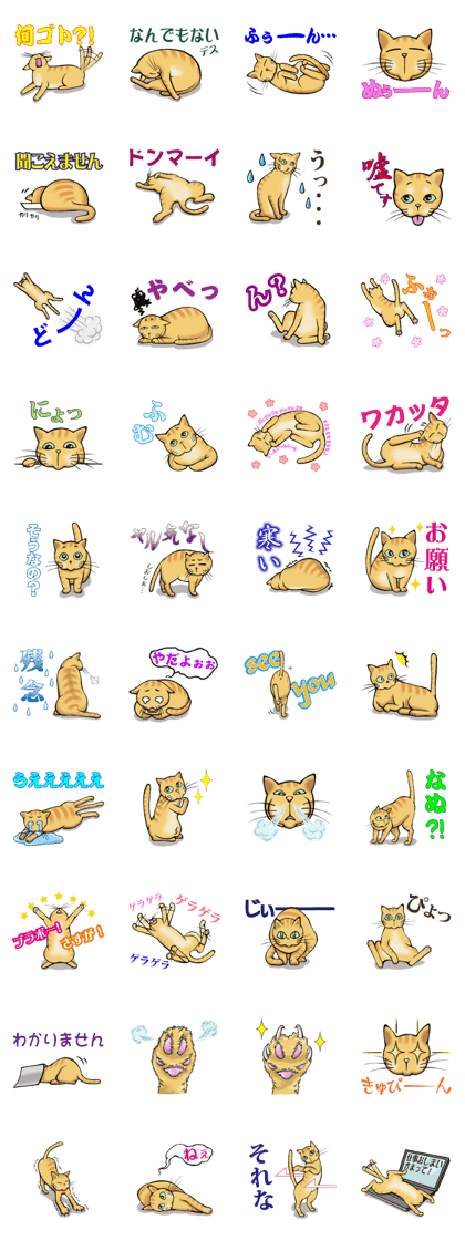 chatora-prince miru