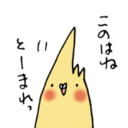 Cockatiel  Ringochan