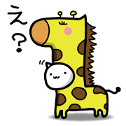 cat&parakeet2