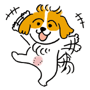 corocorocorochan2