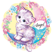 Lovely fashionable cats