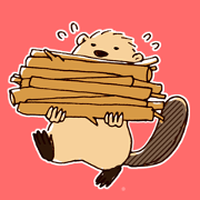 Cute animals Beaver