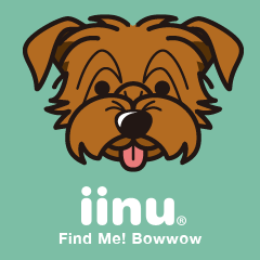 iinu - Norfolk Terrier