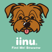iinu - Norfolk Terrier